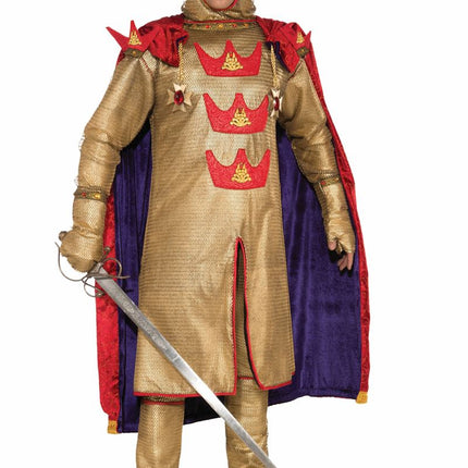King Arthur Men Designer Deluxe Costume by Forum Novelties only at  TeeJayTraders.com