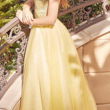 Juliet 268 Embroidered Sparkle Tulle Ball Gown