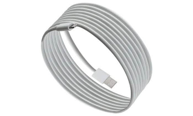 10ft Apple-Certified Lightning Cable