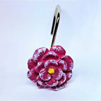 Zinnia