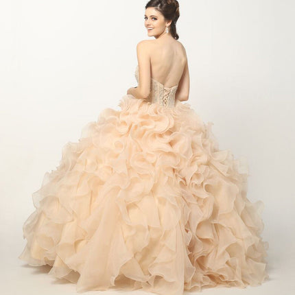 Juliet 1418 Cinderella Ball Gown Organza Ruffle Skirt Beaded Corset Bodice