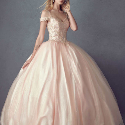Juliet 1430 Dress Quinceanera Ball Gown Embroidered Applique Glitter Tulle