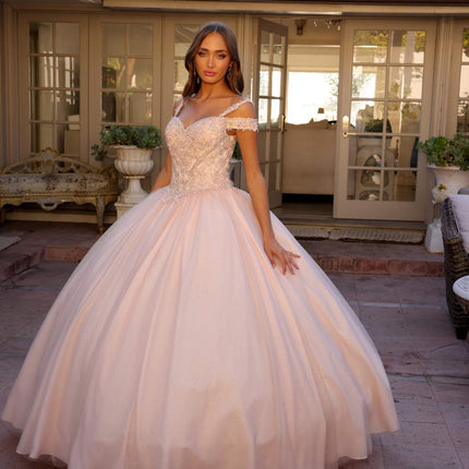 Juliet 1430 Dress Quinceanera Ball Gown Embroidered Applique Glitter Tulle