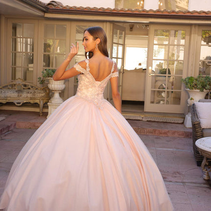 Juliet 1430 Dress Quinceanera Ball Gown Embroidered Applique Glitter Tulle