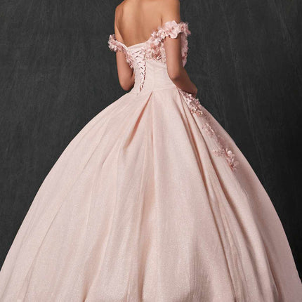 Juliet 1433 Dress Quinceanera Ball Gown 3D Floral Embroidered