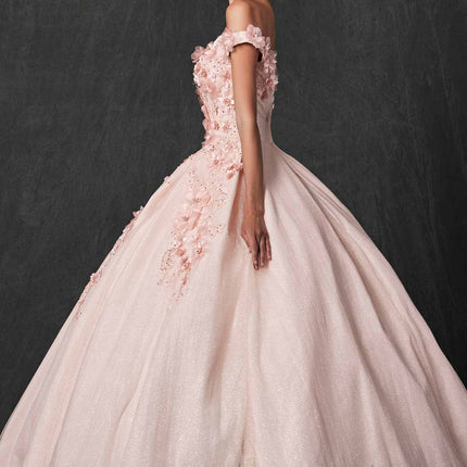 Juliet 1433 Dress Quinceanera Ball Gown 3D Floral Embroidered
