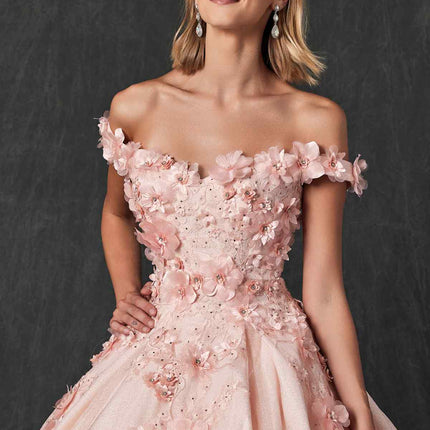 Juliet 1433 Dress Quinceanera Ball Gown 3D Floral Embroidered