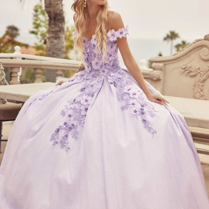 Juliet 1433 Dress Quinceanera Ball Gown 3D Floral Embroidered