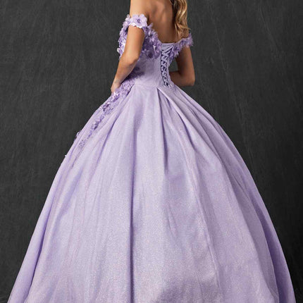 Juliet 1433 Dress Quinceanera Ball Gown 3D Floral Embroidered