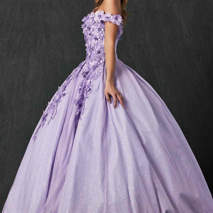 Juliet 1433 Dress Quinceanera Ball Gown 3D Floral Embroidered