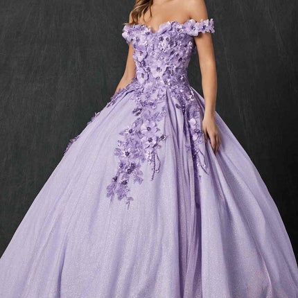 Juliet 1433 Dress Quinceanera Ball Gown 3D Floral Embroidered