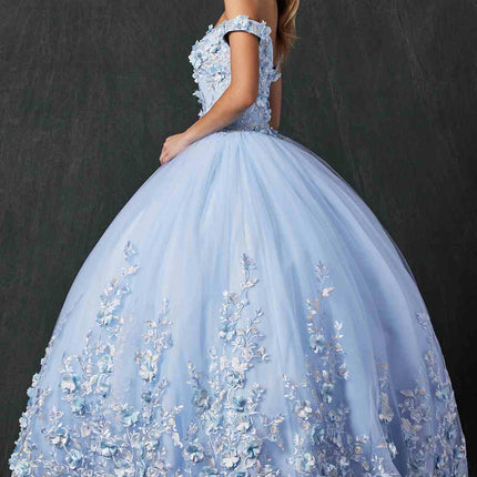 Juliet 1434 Dress Quinceanera Ball Gown 3D Floral Embroidered