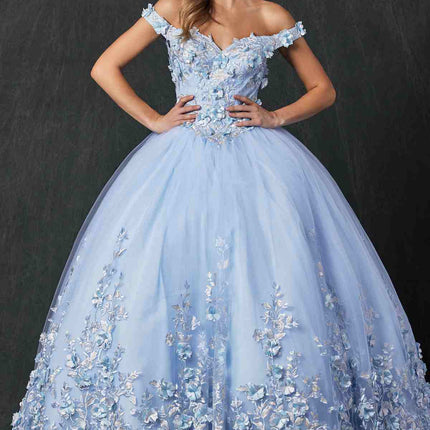 Juliet 1434 Dress Quinceanera Ball Gown 3D Floral Embroidered