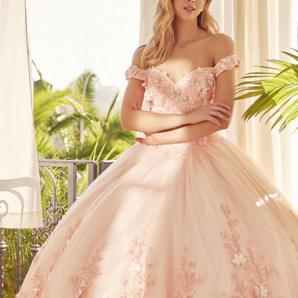 Juliet 1434 Dress Quinceanera Ball Gown 3D Floral Embroidered