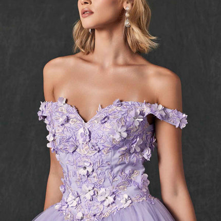 Juliet 1434 Dress Quinceanera Ball Gown 3D Floral Embroidered