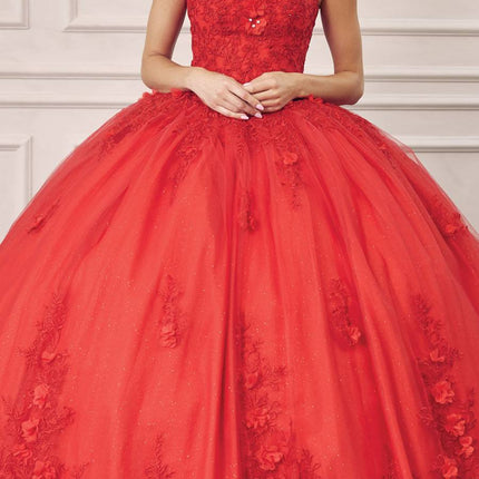 Juliet 1437 Floral Applique Quinceanera Ball Gown With 3D Flowers