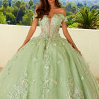 Sage Green / 2