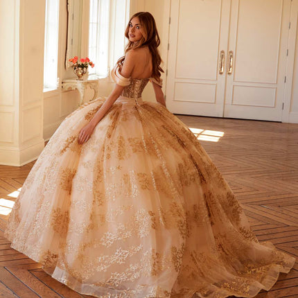 Juliet JT1488H Royal Princess A-Line Ball Gown Quinceanera