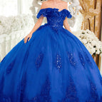 Royal Blue / XS