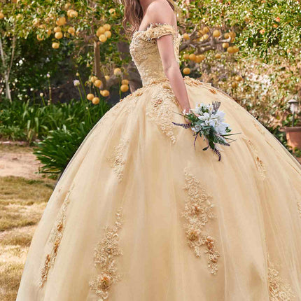 Ladivine 15702 Floral Off the Shoulder Floral Quince Ball Gown
