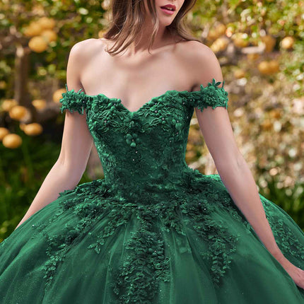 Ladivine 15702 Floral Off the Shoulder Floral Quince Ball Gown
