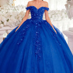 Royal Blue / XS