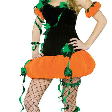 Womens Pumpkin Witch Adult Costume