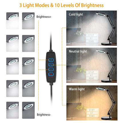 2-in-1 LED Magnifier Desk Lamp with 8x Magnifying Glass