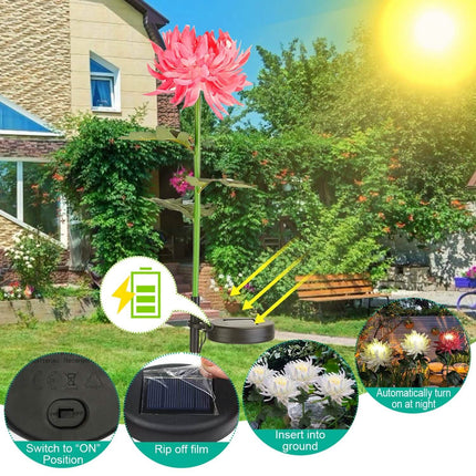 2-Pack: Solar LED Chrysanthemum Lights