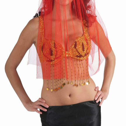 Red Harem Desert Princess Veil Headpiece