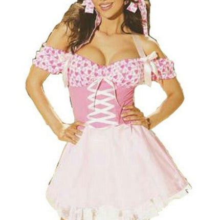 Candy Hearts Sexy Valentine's Day Adult Womens Costume Size Small