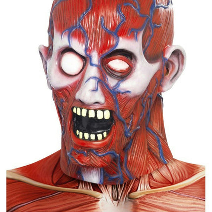 Men's Anatomy Man Full Overhead Costume Adult Latex Mask