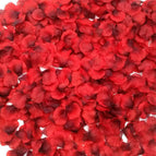 Dark Red
