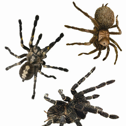 3D Spider Window Stickers- 3 Spiders