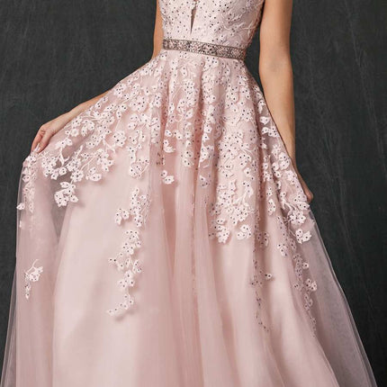 Juliet 224 V-Neck and Back Embroidered Tulle A-Line Ball Gown