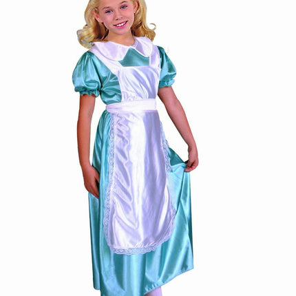 Alice The Blue Gown Child Costume Wonderland Size Small 4-6