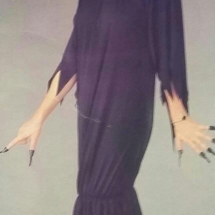 RG Costumes Witch Adult Costume Tattered Black Gown Dress