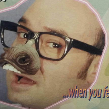 Donkey Nose Fun Glasses