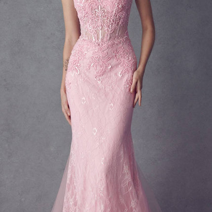 Juliet 250 Embellished Lace Mermaid Dress