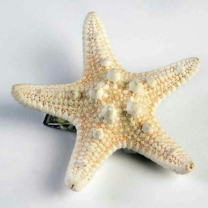 Mermaid Ivory Star Fish Seashell Hair Clip Costume Accessory