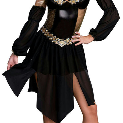 Dreamgirl Women's Sexy Harem Arabian Nights Girl Costume Adult Costume XS 0-2