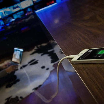 10ft Apple-Certified Lightning Cable