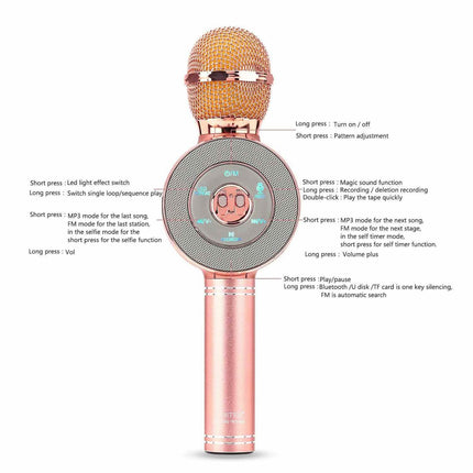 3-in-1 Wireless Karaoke Microphone