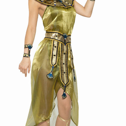 Gold Roman Toga Adult Costume Dress