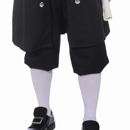 Founding Father Colonial President Washington Adult Costume