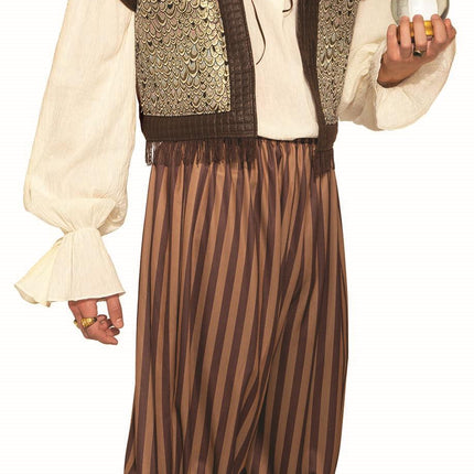 Woodland Fortune Teller Gypsy Men's Adult Costume Size Standard