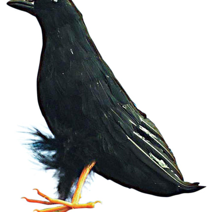 Giant Black Raven Bird Prop 10"