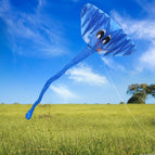Blue Elephant