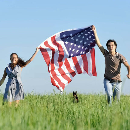 4-Pack: American US Flags