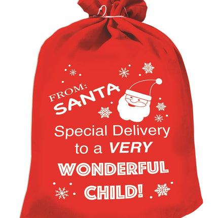 Special Delivery Santa Sack